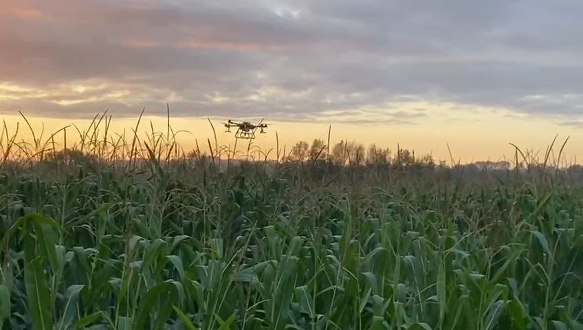 drones-agricultura